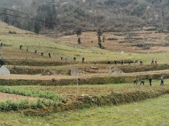 按下防疫春耕“快进键” 战疫斗贫促消费