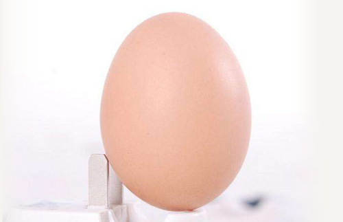 池州富苗土鸡蛋