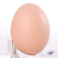池州富苗土鸡蛋