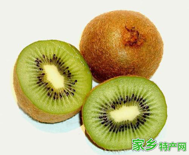 黄山特产黄山猕猴桃 -[安徽]黄山市特产