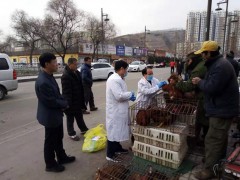 市植物疫控中心展开春节前我市农贸市场活禽高致病性禽流感病原检测及防控宣传义务