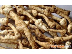 黄精种苗-叶氏种植诚信经营-黄精种苗基地