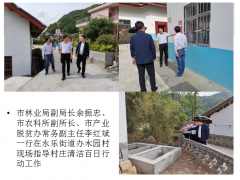 鹤壁市林业局反省镇安县农村人居环境整治义务