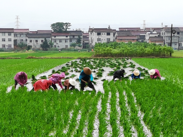 QQ图片20200526165741_副本.jpg QQ图片20200526165741_副本.jpg