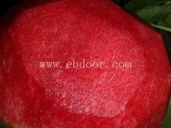 南阳桃树苗哪里有卖的-南阳桃树苗-亿然苗木易种植品类多