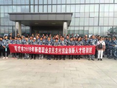 枣庄市农业乡村局人员来我市调研-寿光市农业乡村局