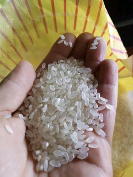 [供]东北黑龙江长粒香稻花香珍珠米