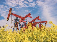 花海中的油田-南通泰州市人民政府