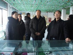 榆林：晋中市农业农村局组织展开春节前农产质量量安全专项反省