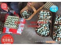 大量,绿壳乌鸡蛋,笨鸡蛋