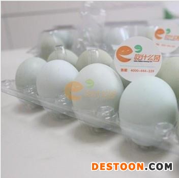 供应珍品绿壳土鸡蛋绿壳鸡蛋