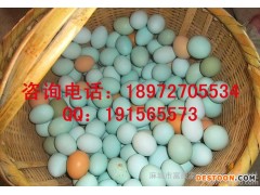商品|绿壳鸡蛋|土鸡蛋 05-24