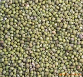 供应明绿豆