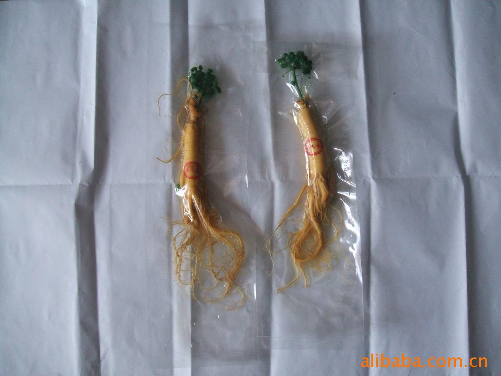 产地批发  优质参茸  保鲜人参