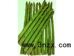 芦笋种子哪里有卖|2013芦笋种子价格|进口芦笋种子|