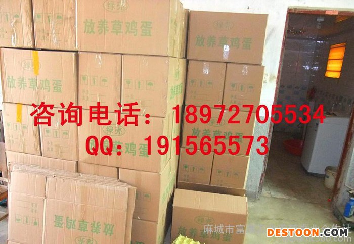 上海地区绿壳鸡蛋|土鸡蛋|绿壳蛋|鸡蛋价格