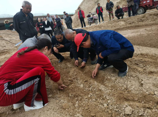 图片4.png 图片4.png