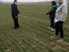 高青县农业农村局疫情业务两手抓、两手硬