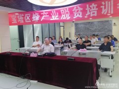 延安：宝塔养蜂技术“泰斗”线上开班为宝塔蜂农做培训