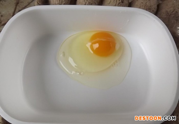 供应散养土鸡蛋、绿壳鸡蛋、笨鸡蛋、草鸡蛋