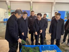 市指导走访慰劳南闸蔬菜配送基地