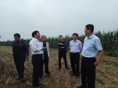 市农业乡村局有关指导到灵寿县调研指点农业产业构造调整任务