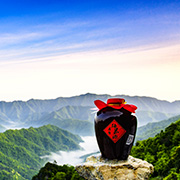 安徽金钱山食品有限公司