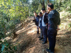 勐宋乡生态茶园建立后期任务调研