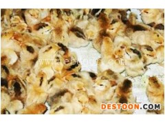 重庆土鸡苗-安徽牧翔禽业专业养殖-毛腿土鸡苗