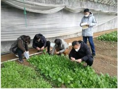 威海晋中市农业农村局 义务静态 晋中市农业农村局强化抽查检测，确保疫情防控时期蔬菜质量安全