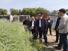 安康：​省农业农村厅副厅长陈文来我晋中市展开产业扶贫成果整改和春季农业消费调度指点义务