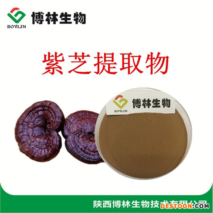 植物提取物  紫芝提取物 10:1