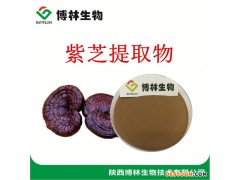 植物提取物  紫芝提取物 10:1