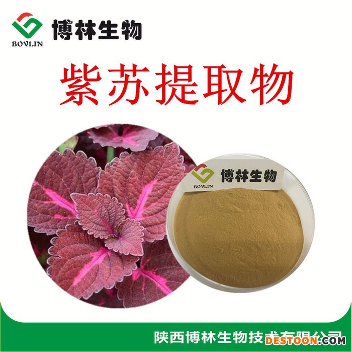 植物提取物 紫苏提取物10:1