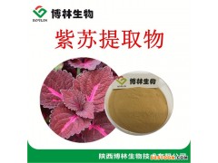 植物提取物 紫苏提取物10:1