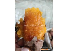 红心蜜薯在哪买-红心蜜薯-大地永康畅销全国(查看)