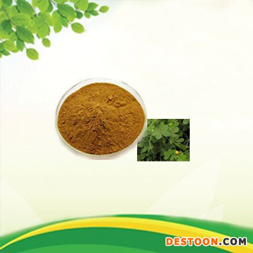 茯苓提取物  10:1   植物提取物