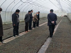 宁强：相互交流 共促展开