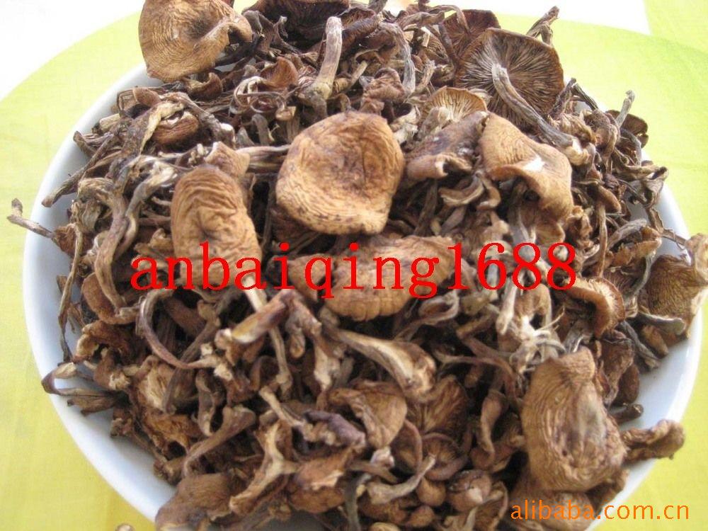 原生态/绿色/精选/长白山/野生/榛蘑 小鸡 炖蘑菇 纯正 东北味