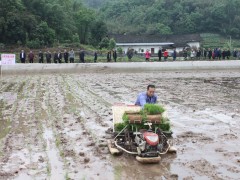 叙永县召开2020年粮食消费暨春耕助耕现场会