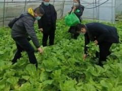 新冠病毒防控，农产质量量安全内行动