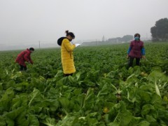 青神：“土专家”“田秀才”远程助春播