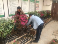 安康：晋中市农业综合执法支队积极组织展开爱国卫生月主题活动