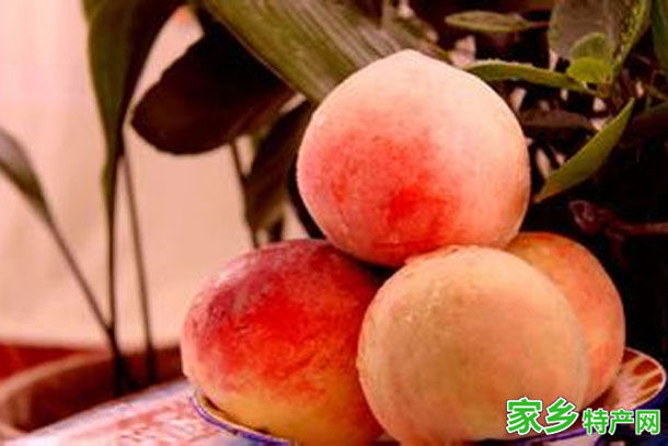 深州蜜桃 -衡水深州特产