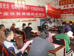 渭南：白水县畜牧技术推行站送技术下乡 助力贫穷户脱贫致富