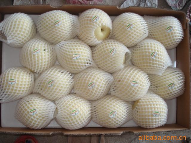 金沙果品大量供应质量一级、无公害、绿宝石。