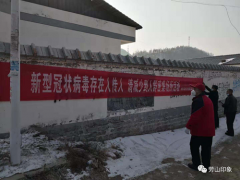 甘泉：劳山乡展开“户户抓环境、全民抓防疫”义务