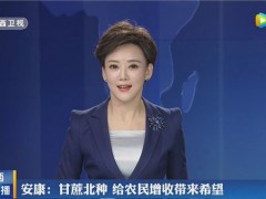 安康：脱贫攻坚一县一业——陕西汉滨甘蔗产业