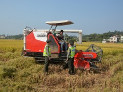 钦南区深化展开农机平安消费隐患大排查大整治任务
