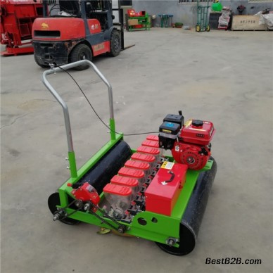 手推式生菜精播机